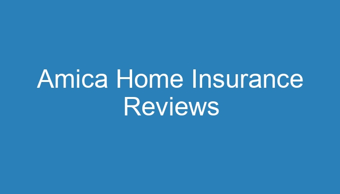 Amica whole life insurance reviews